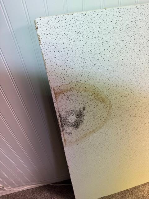 Completed a diagnostic visit in bensalem, pa 19020 after the homeowner reported mold issues in her basement near the hvac unit. Noticed spots on the drop ceiling and localized growth without visible water or puddling. Evaluated the system and shared recommendations to address moisture and prevent further mold development.